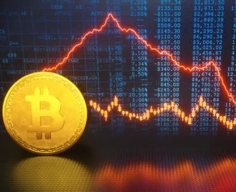 VerbaVisitPro - VerbaVisitPro Trading